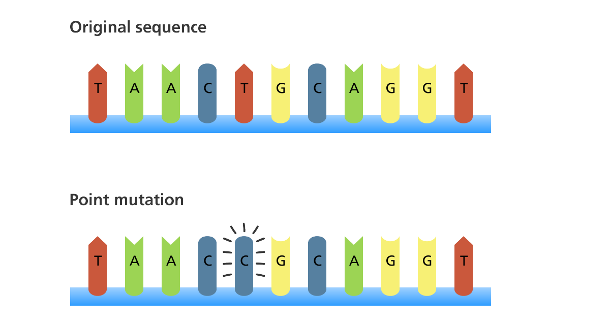 Point Mutation Definition