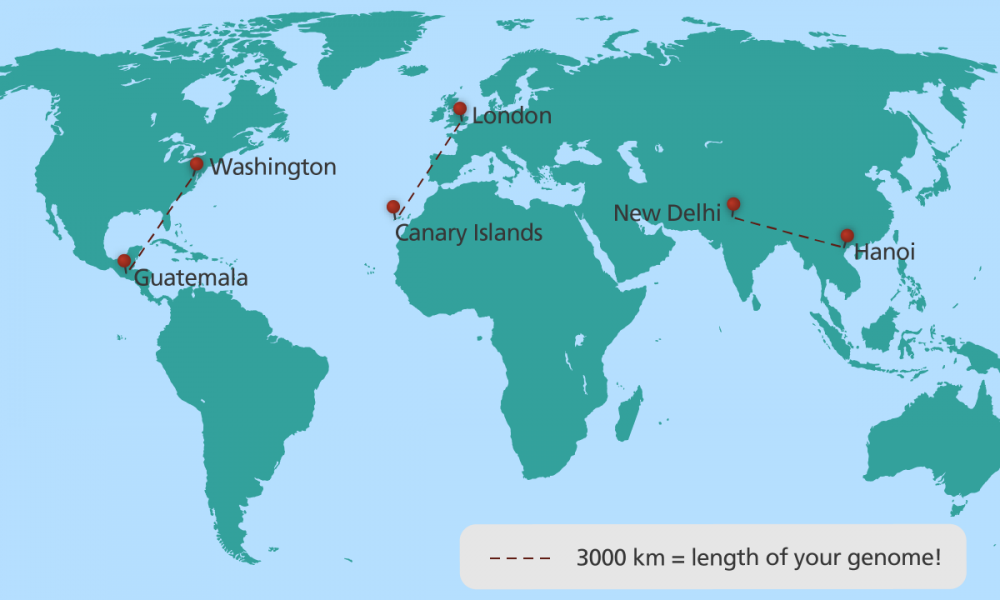 map_DNA_genome_yourgenome